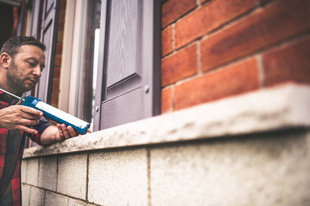 Best Local Insulation Services  in Plainview, TN