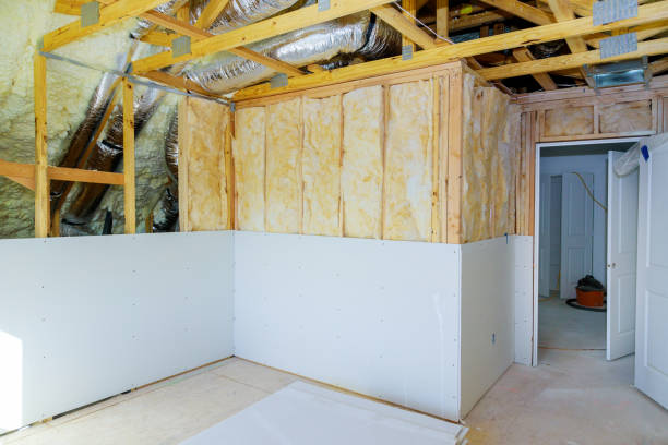 Best Professional Insulation Contractor  in Plainview, TN