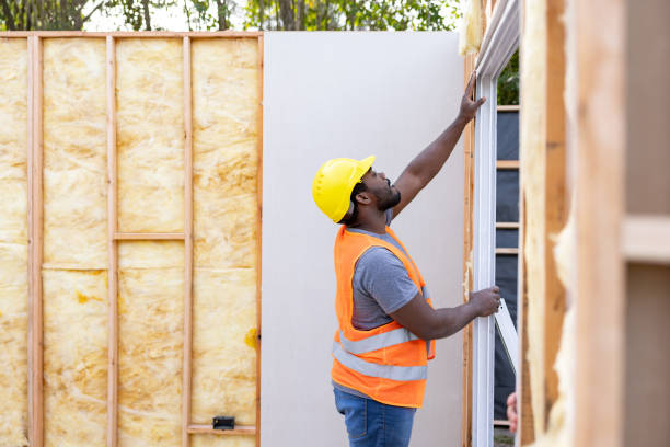 Best Insulation Inspection Services  in Plainview, TN
