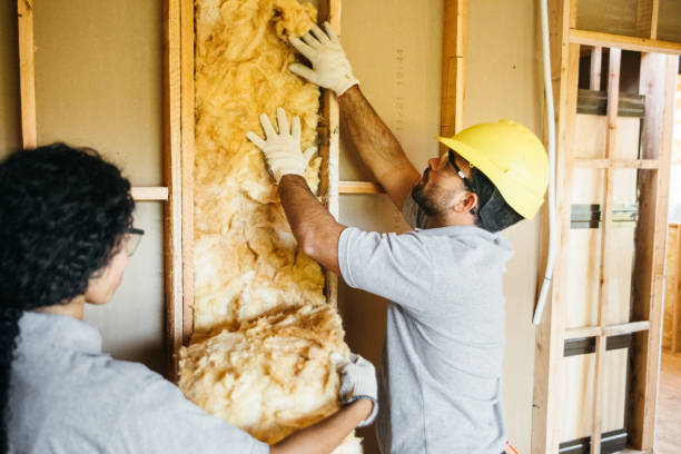 Best Insulation Repair Services  in Plainview, TN