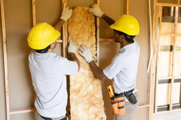 Best Energy-efficient Insulation  in Plainview, TN