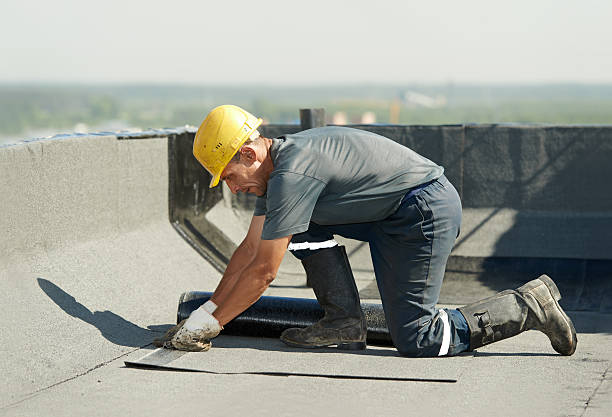 Best Best Insulation Companies  in Plainview, TN