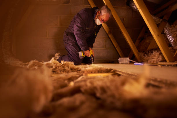 Best Insulation Replacement Services  in Plainview, TN